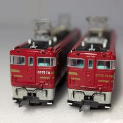 特別企画品 TOMIX 97952 相当 485系1000番代 こまくさ 鉄道模型 N