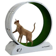 Brand new cat wheel, 80cm diameter, large size, quiet operation, perfect for indoor exercise, dog and cat running wheel, cat exercise equipment, cat toy, stress relief, indoor gym, stylish design.