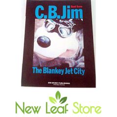 非売品】 BLANKEY JET CITY Pepin ポスター B2サイズ - メルカリ