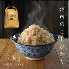 新米20kg】群馬県産コシヒカリ 玄米 農家直送 〇〇- メルカリ