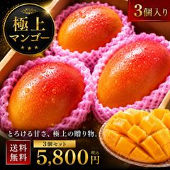 【農家直送】宮崎完熟マンゴー 9玉(約3.5kg) 農家直送】宮崎完熟マンゴー 9玉(約3.5kg) - メルカリ