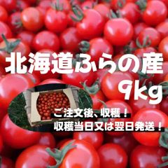 北海道富良野産ミニトマト3kg 訳あり クール便 - メルカリ