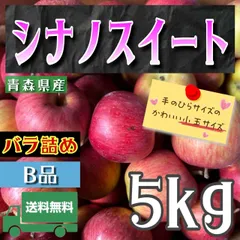 青森県産 ＂ シナノスイート ＂ りんご【ご家庭用 (訳あり) B品5kg】【送料無料】【産地直送】リンゴ 林檎のサムネイル