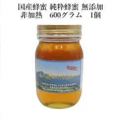 はちみつ 蜂蜜 ハチミツ 国産はちみつ 国産非加熱はちみつ 自然食品 完熟純粋蜂蜜 生はちみつ 国産天然はちみつ 国産蜂蜜 生はちみつ 完熟 600g｜純粋蜂蜜・無添加・非加熱・高品質 完熟 塚本養蜂場 自然熟成【2029年4月賞味期限】つかもとのサムネイル