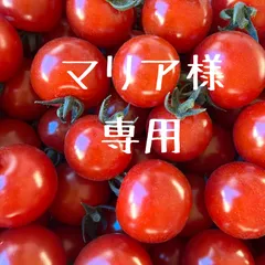 マリア様•*¨*•.¸♬︎