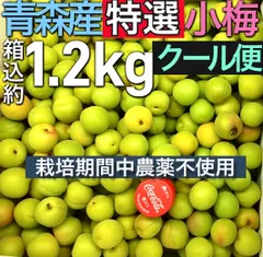 2026年最新】県重の人気アイテム - メルカリ