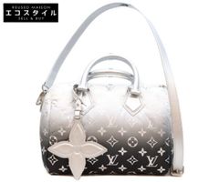 LOUIS VUITTON M11848 LVSKI LV Snow Speedy Bandoulière 25