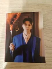 SEVENTEEN カラット盤 バーノン(VERNON・チェハンソル) トレカ 24枚 まとめ