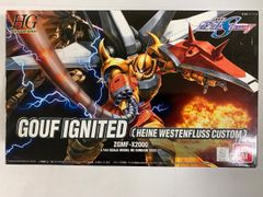 HG グフイグナイテッド 1/100 ブレイズザクファントム セット ハイネ機