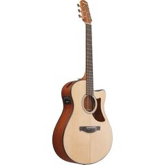 □Ibanez アイバニーズ◾️AEW15LTD1-NT1201限定品◾️エレアコ