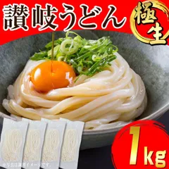 当日発送（17時頃迄）合計1kg  【生麺 讃岐うどん  つゆなしセット≪250g×4袋≫】 本場 香川直送  8人前～10人前(小盛)  送料無料　　訳あり簡易パッケージ、簡易包装　　　（UA）のサムネイル
