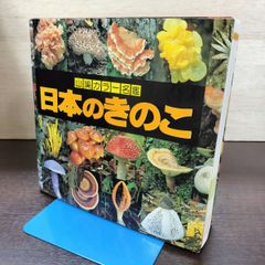 貴重・絶版】山溪カラー名鑑 日本のきのこ（1990年版） - メルカリ
