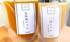 完熟梅ジャム & 八朔はっさくジャム 各150g 無添加 無農薬 手作りジャムのサムネイル