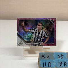 サンフレッチェ 2002 プレミアムカード トゥーリオ ビロング ※値下げ