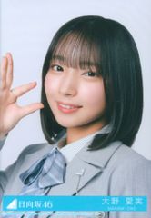 乃木坂46 生田絵梨花 何度目の青空か？ MV 生写真 その他まとめ売り