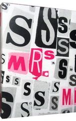 Mr.S “saikou de saikou no CONCERT TOUR