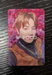 Seventeen ウジ セブチ Ruby Trading Card Set - メルカリ