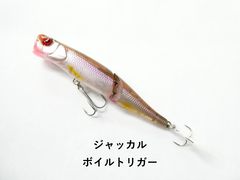 ダイワ アナリスター 瀬戸内 ILT 15-330 (01-9106110008) - メルカリ