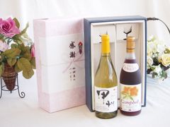浜崎あゆみ オリジナルワイン 2本セット 未開封 コレクション - メルカリ