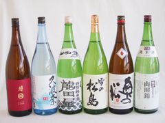 本格焼酎 6本セット 日南娘 赤江 甕猫colorful 大正の一滴 甲