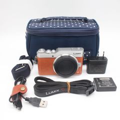 本日限定価格 動作確認済み【常時給電用DCカプラー】LUMIX GM1S ボディ