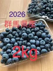 群馬県産　生ブルーベリー2kgのサムネイル
