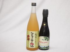 希少 古酒2本セット カナダ アイスワイン1997・サッポロ ポレール貴腐ワイン 希少 古酒2本セット カナダ アイスワイン1997・サッポロ ポレール貴腐