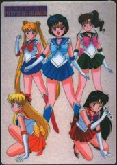 当時物】美少女戦士セーラームーンR セイカノート製 下敷き（未使用品