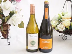 余韻に酔いしれるシャルドネ白ワイン2本セット(オクシタンやや辛口Alc.13.5%(フランス) サンテロ ピノ スプマンテ 辛口Alc.11.5%(イタリア)) 750ml×2本のサムネイル