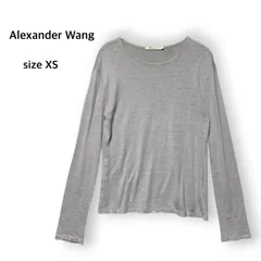 ティーバイアレキサンダーワン TbyAlexanderWang アレキサンダーワン AlexanderWang リネン シルク 麻 絹 長袖カットソー ロンT プルオーバー 薄手 シアー 透け感 Uネック ライトグレー XS レイヤード モードのサムネイル
