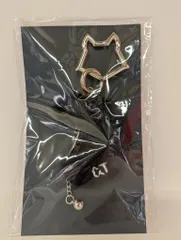 &TEAM 2026 BLAZE THE WAY POP-UP KEYRING