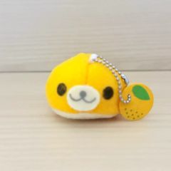 グルミチャマ 実生苗 5年生 - メルカリ