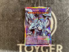 遊戯王 究極竜魔導師(マスターオブドラゴンマギア) オーバーフレーム版