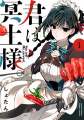 シカゴ社会学の研究 初期モノグラフを読む/恒星社厚生閣/宝月誠