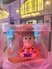 TOY STORY Woody Coin Bank ウッディ 貯金箱 韓国限定 - メルカリ