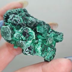 高品質 孔雀石 花形 原石 放射状結晶 美結晶グリーン 鉱物標本 厳選