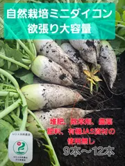 自然栽培ミニダイコン欲張り大容量７キロ 送料無料
