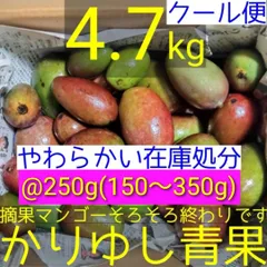 2026年最新】摘果マンゴーの人気アイテム - メルカリ