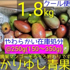 2026年最新】摘果マンゴーの人気アイテム - メルカリ