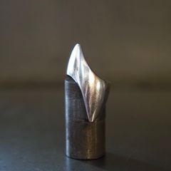 リックオウエンス 指輪 トランク Trunk 表記56 サイズ14.5号 リング