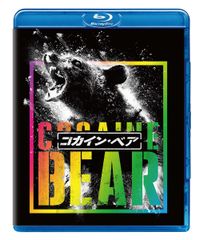 大河ドラマ 琉球の風 完全版 DVD-BOX 全6枚(中古品) - メルカリ