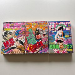 サンデーVSマガジン 金田一少年の事件簿 高遠 遙一 - メルカリ