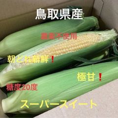 鳥取県産 砂丘らっきょう 初物 1kg 新品 - メルカリ