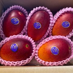 訳あり宮崎完熟マンゴー 6玉 約3kg - メルカリ