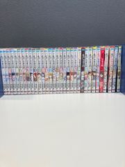 初版多数】鋼の錬金術師 全巻 パーフェクトガイド付き 荒川弘 - メルカリ