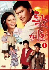 レア 東雲楼 女の乱 DVD セル版 かたせ梨乃 斉藤慶子 南野陽子 東映