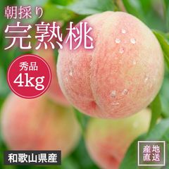 100 がんも様 露茜 特大4Lサイズ 訳あり 6kg - メルカリ