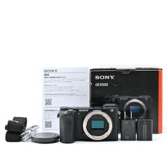 SONY α6500 ボディ 追加バッテリー 充電器 リモートシャッター付