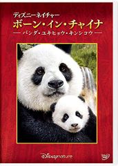 コイサンマン ブッシュマン DVD ニカウさん 映像特典 - メルカリ
