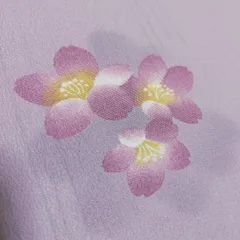 ポリエステル着物専門店in.style◆美品◆小紋着物◆単衣◆広衿◆洗える着物◆Mサイズ◆裄68cm◆丈164cmのサムネイル